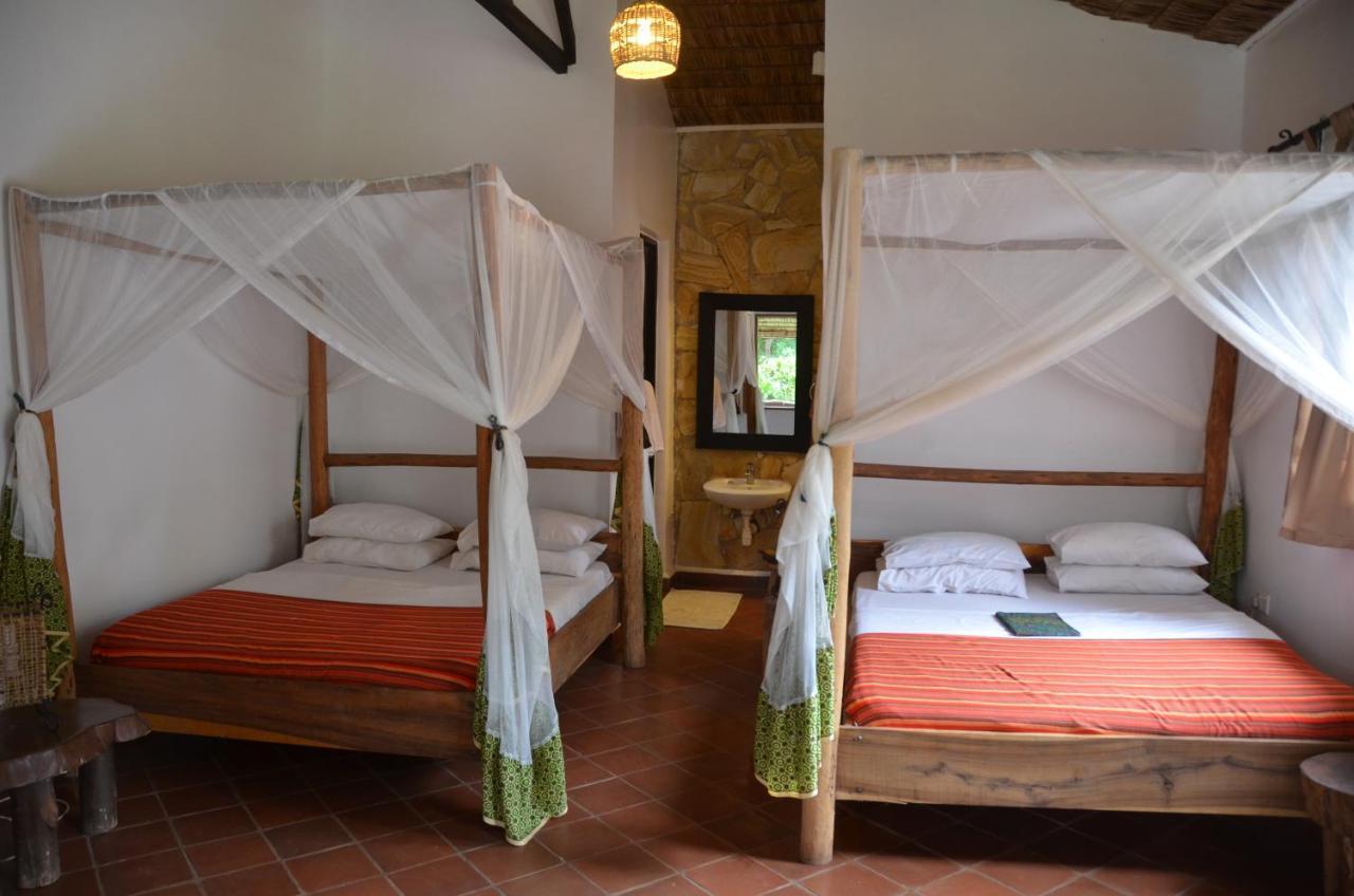 Honey Badger Lodge Moshi Bagian luar foto